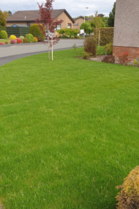 Garden Services