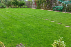 After Lawn Makeover