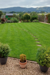 After Lawn Makeover
